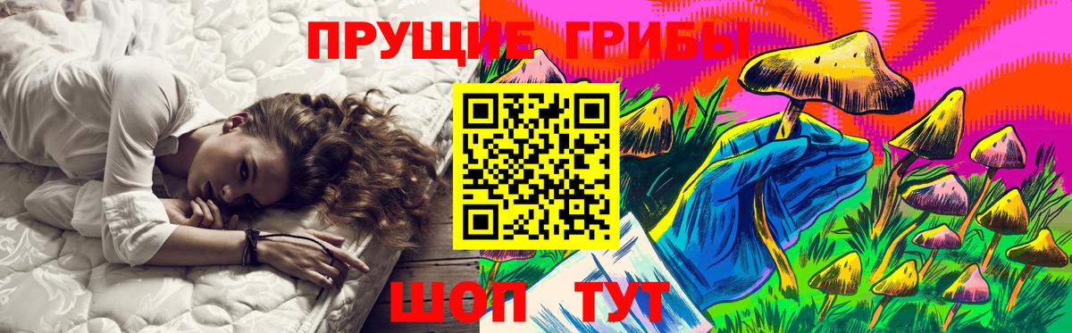 Галлюциногенные грибы Psilocybe  Вход с VPN  Муравленко 